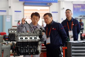 <b>��Ǿ�������ְҵ���ܴ���</b>